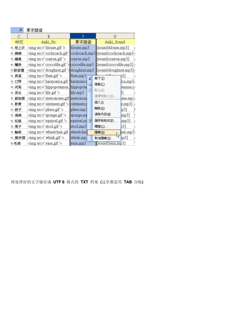 Anki,Ankidroid如何批量汇入单词_第3页