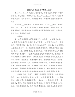2024电力专业技术年度个人总结