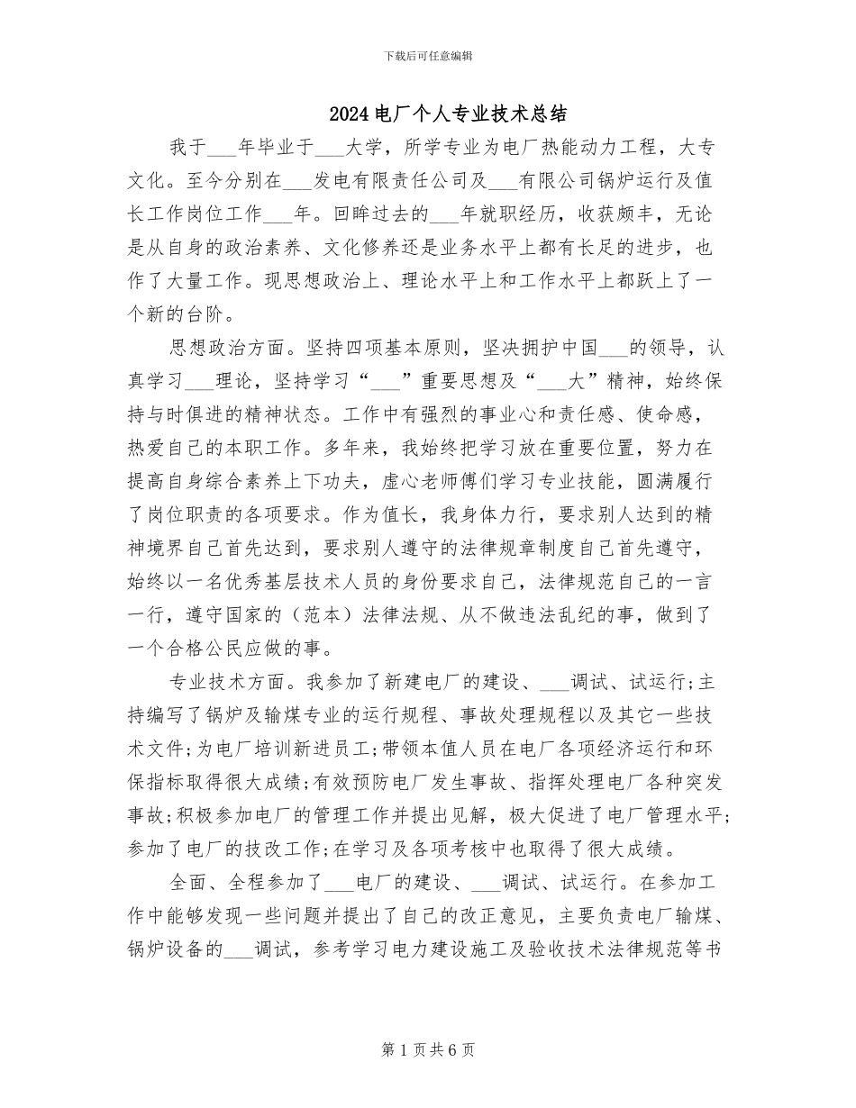 2024电厂个人专业技术总结_第1页