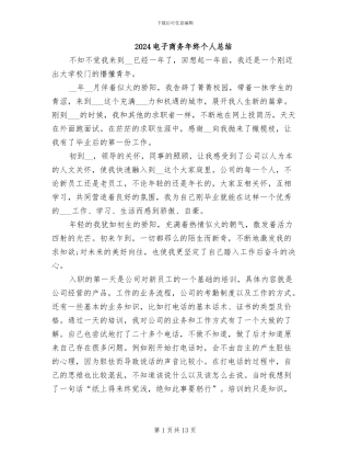 2024电子商务年终个人总结