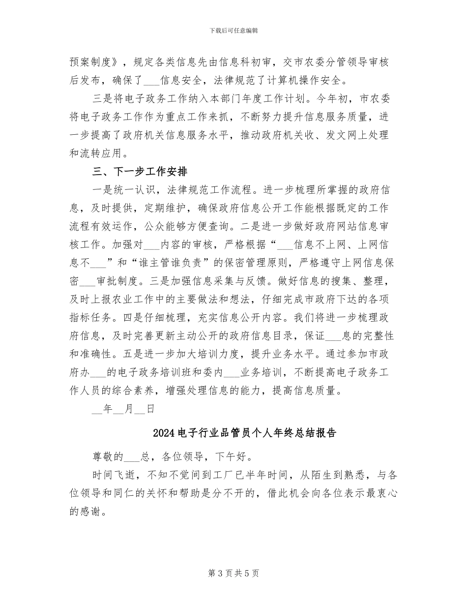 2024电子政务工作总结_第3页