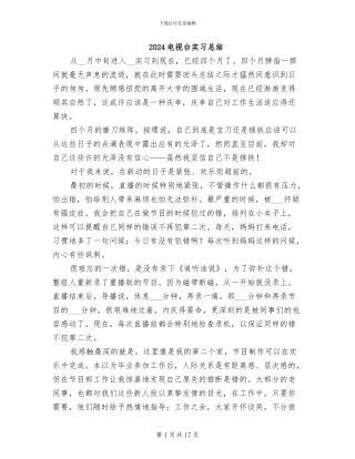 2024电视台实习总结