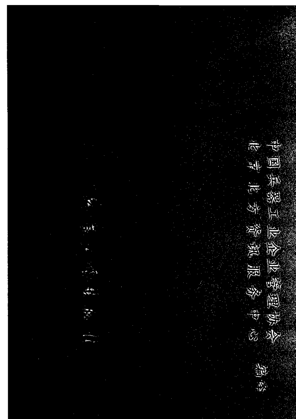 APISpec2C2004海上平台起重机规范_第1页