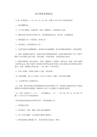 APN排班各班职责