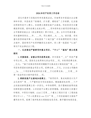 2024知识产权局工作总结