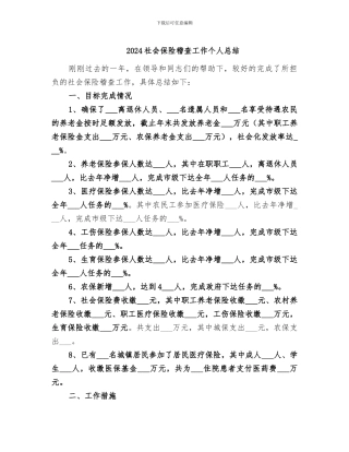 2024社会保险稽查工作个人总结