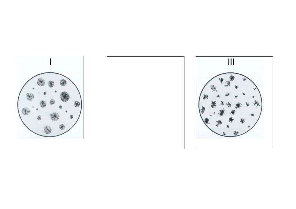 ASTMA247_plate金相图谱_第2页