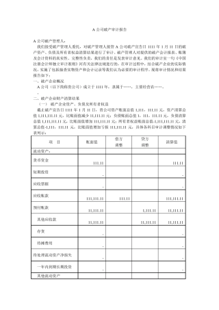 A公司破产审计报告