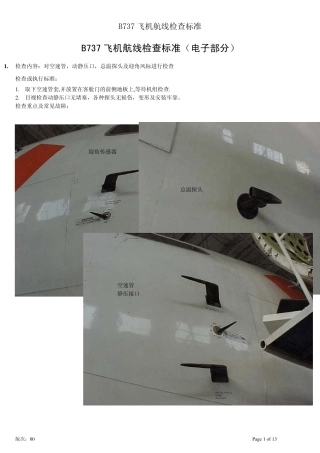B737飞机航线检查标准(电子)