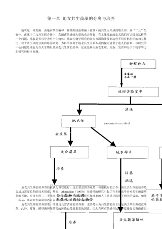 BBM培养基