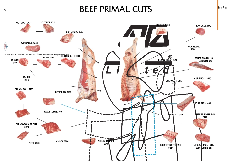 Beef牛肉英文术语_第2页