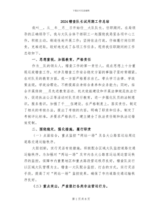 2024稽查队长试用期工作总结