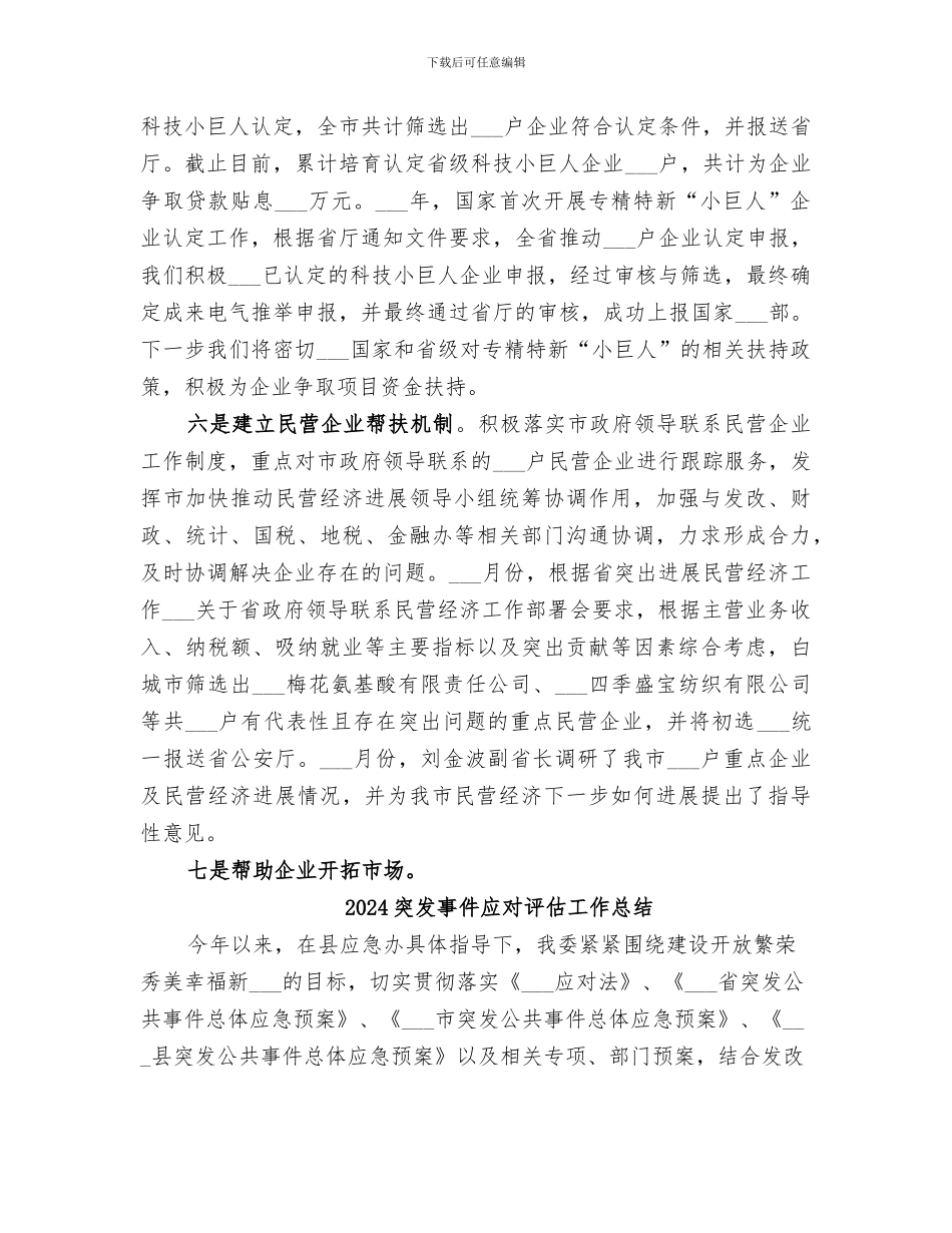 2024突出发展民营经济工作总结_第3页