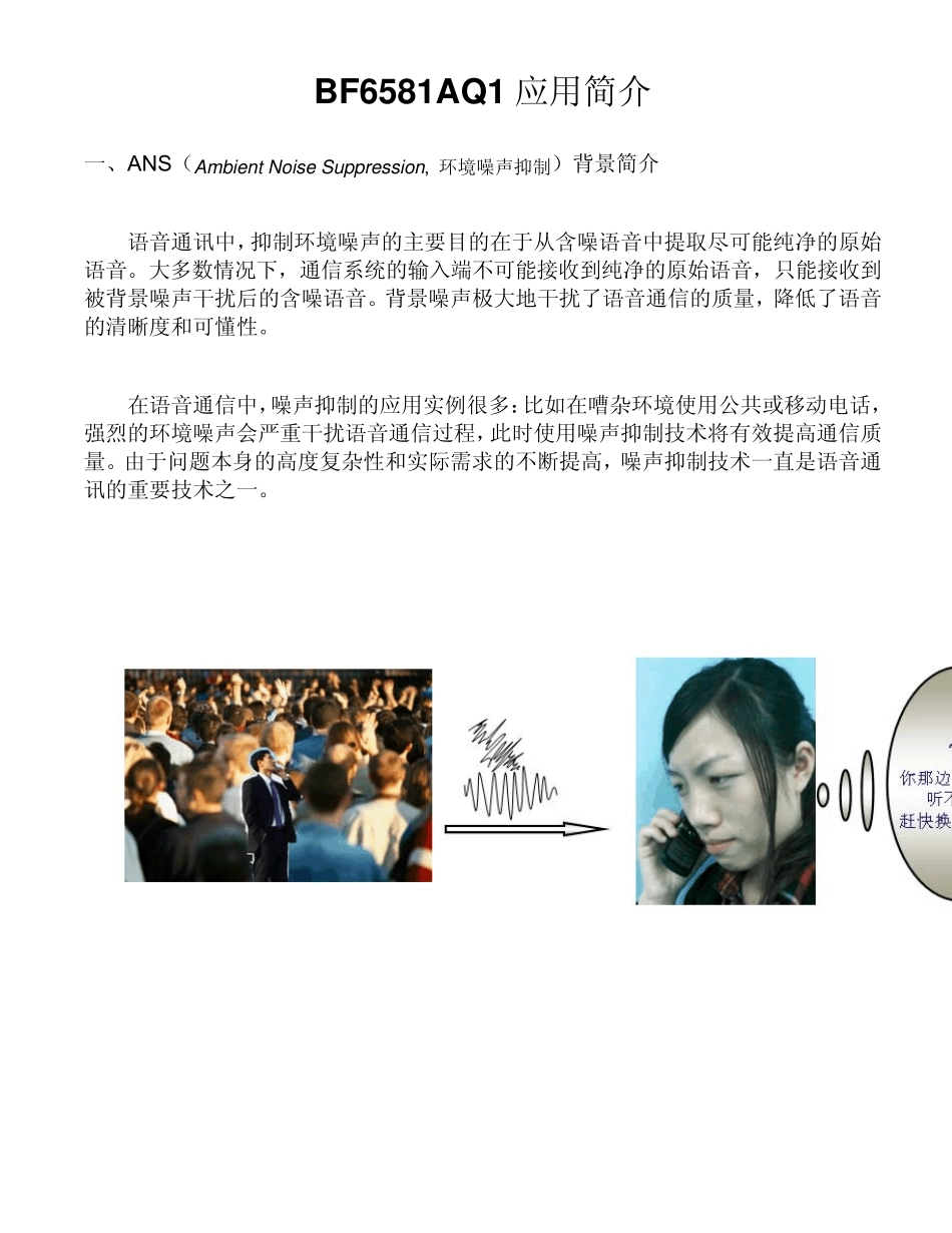 BF6581AQ1introduceamp;application2010.03.31_第1页