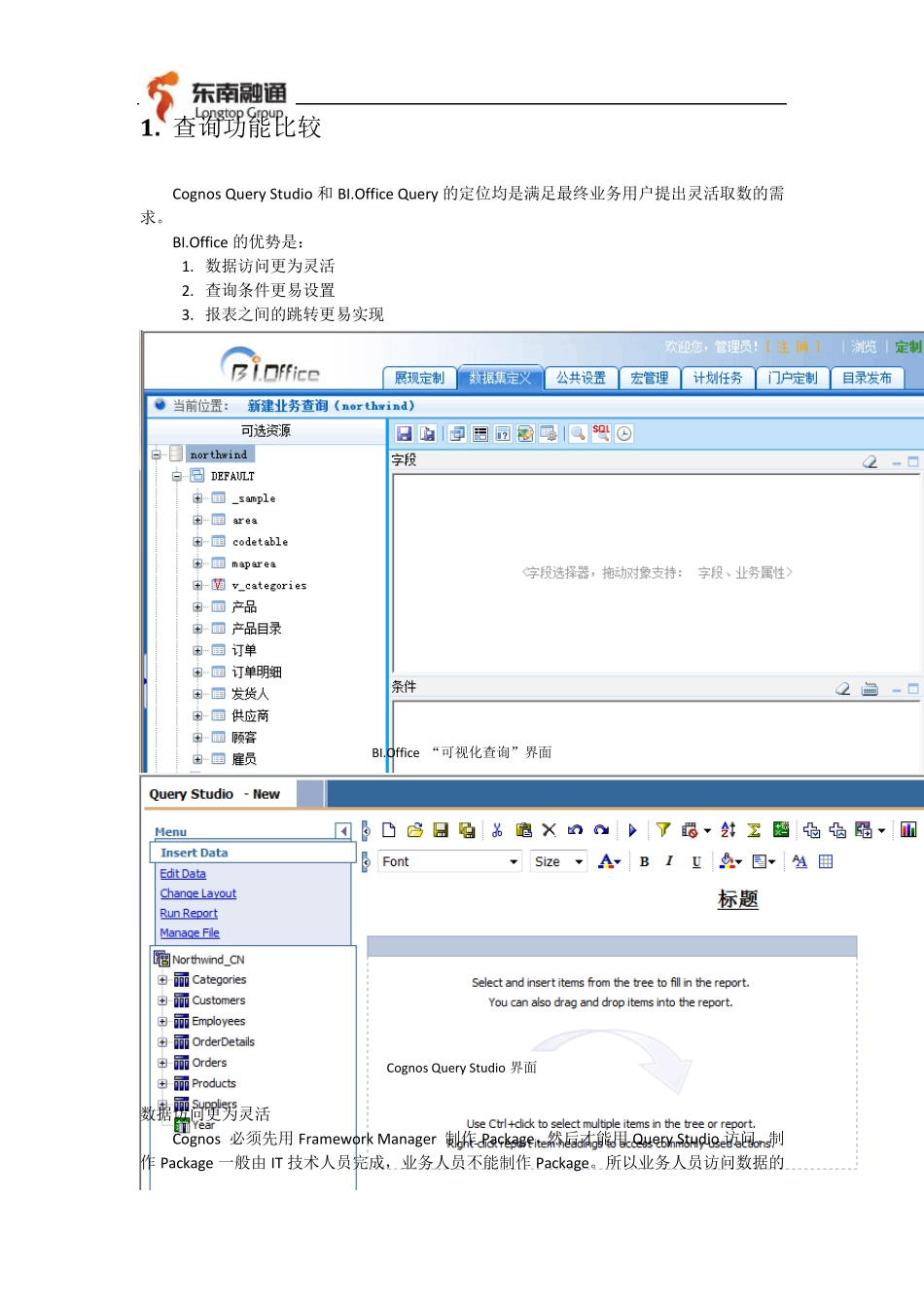 BI.Office与润乾报表及Cognos的对比_第3页