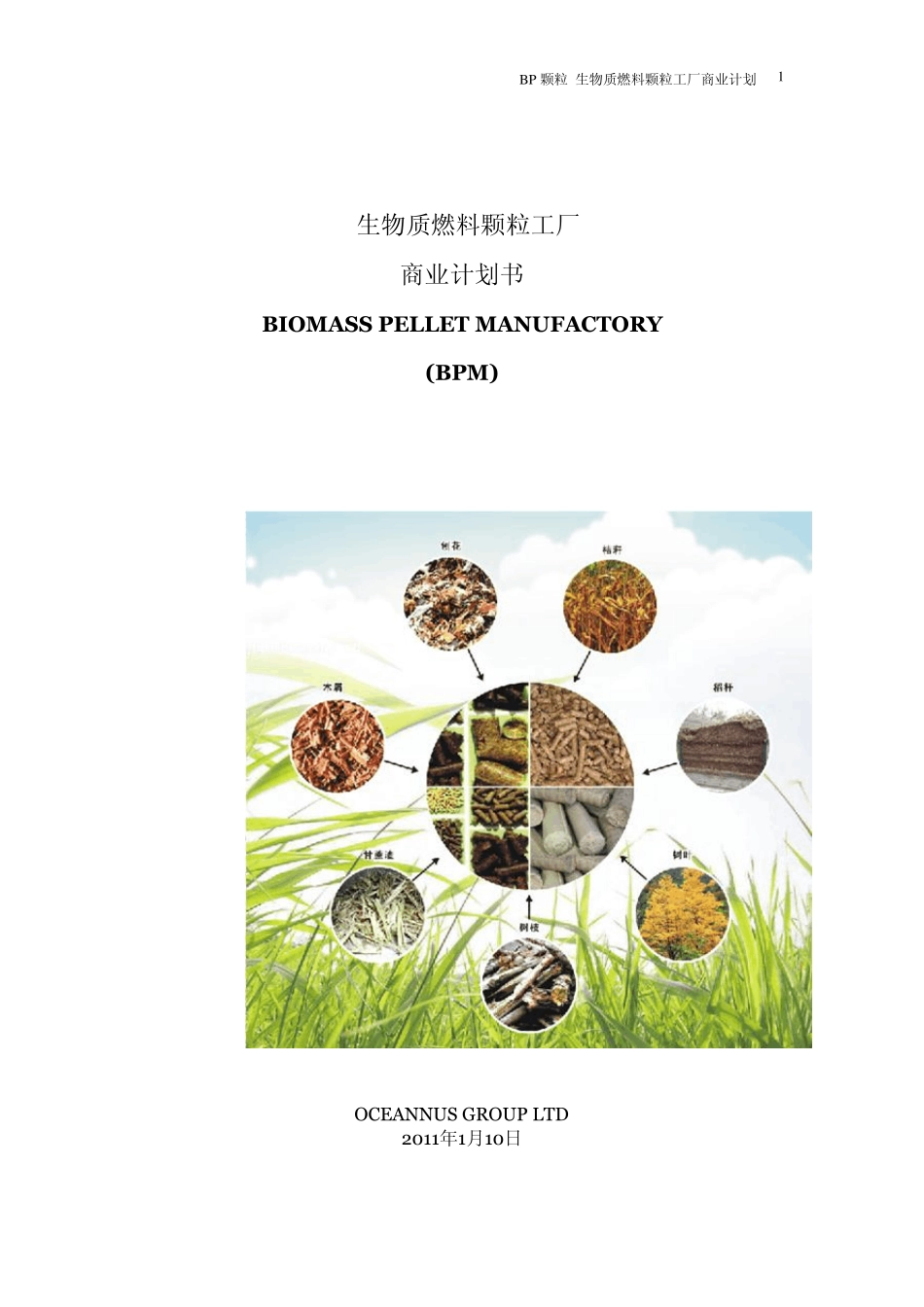 BIOMASS_生物质燃料颗粒工厂_第1页