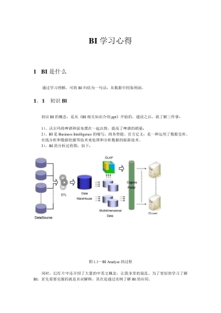 BI学习心得