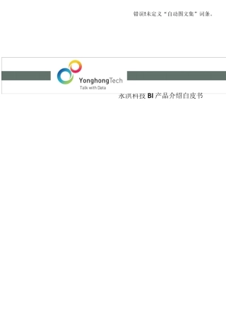 BI软件白皮书