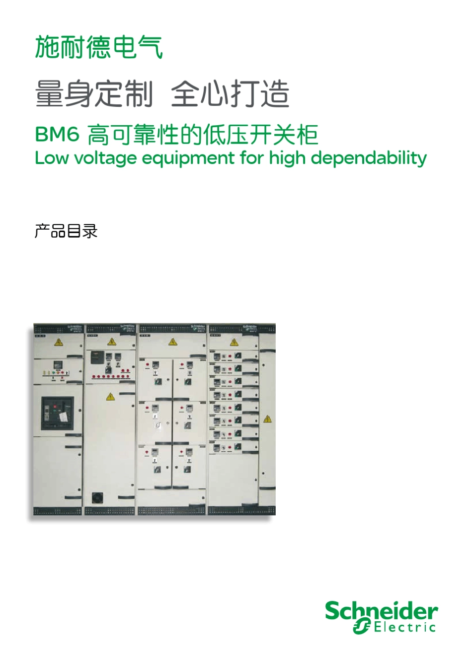 BM6高可靠性的低压开关柜_第1页