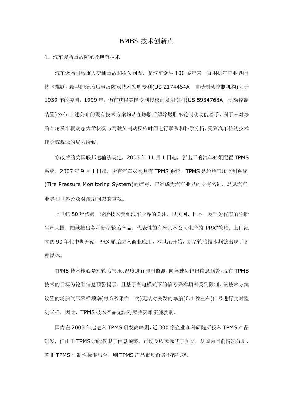 BMBS(轮胎防爆)技术创新点_第1页