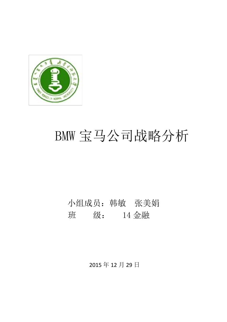 BMW宝马公司战略分析_第1页