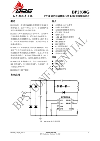 BP2838G_CN_DS_Rev.1.0