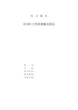 BPO实践报告总结