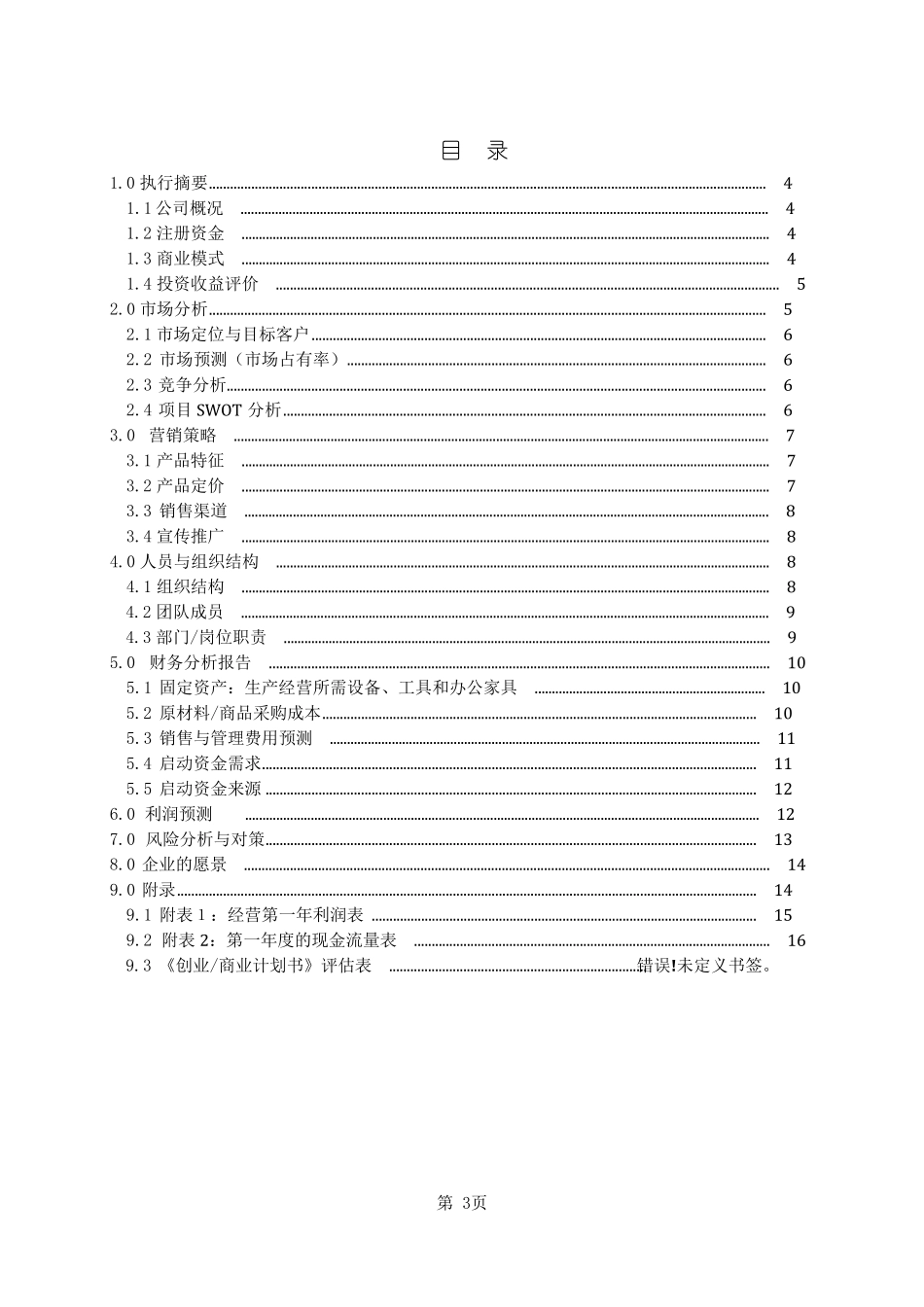 BP商业计划书模板_第3页