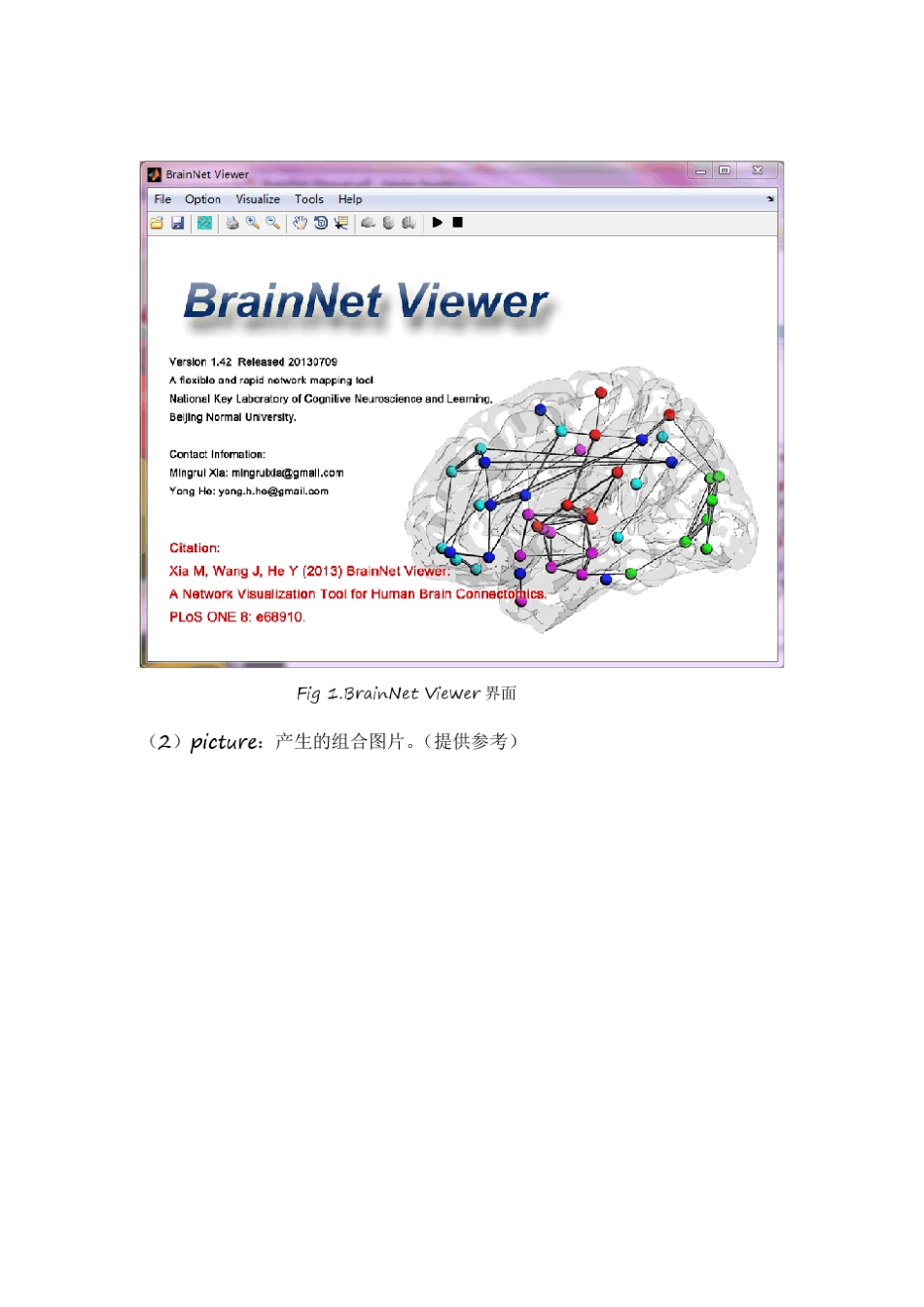 BrainNetViewerGuide使用范例_第2页