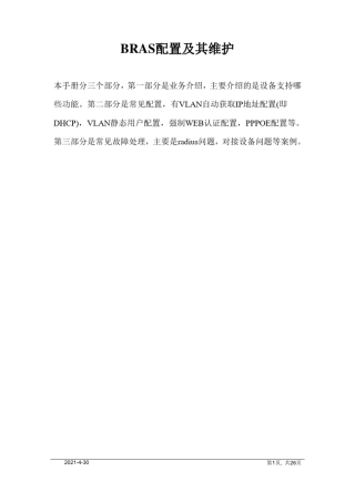 BRAS配置及其维护