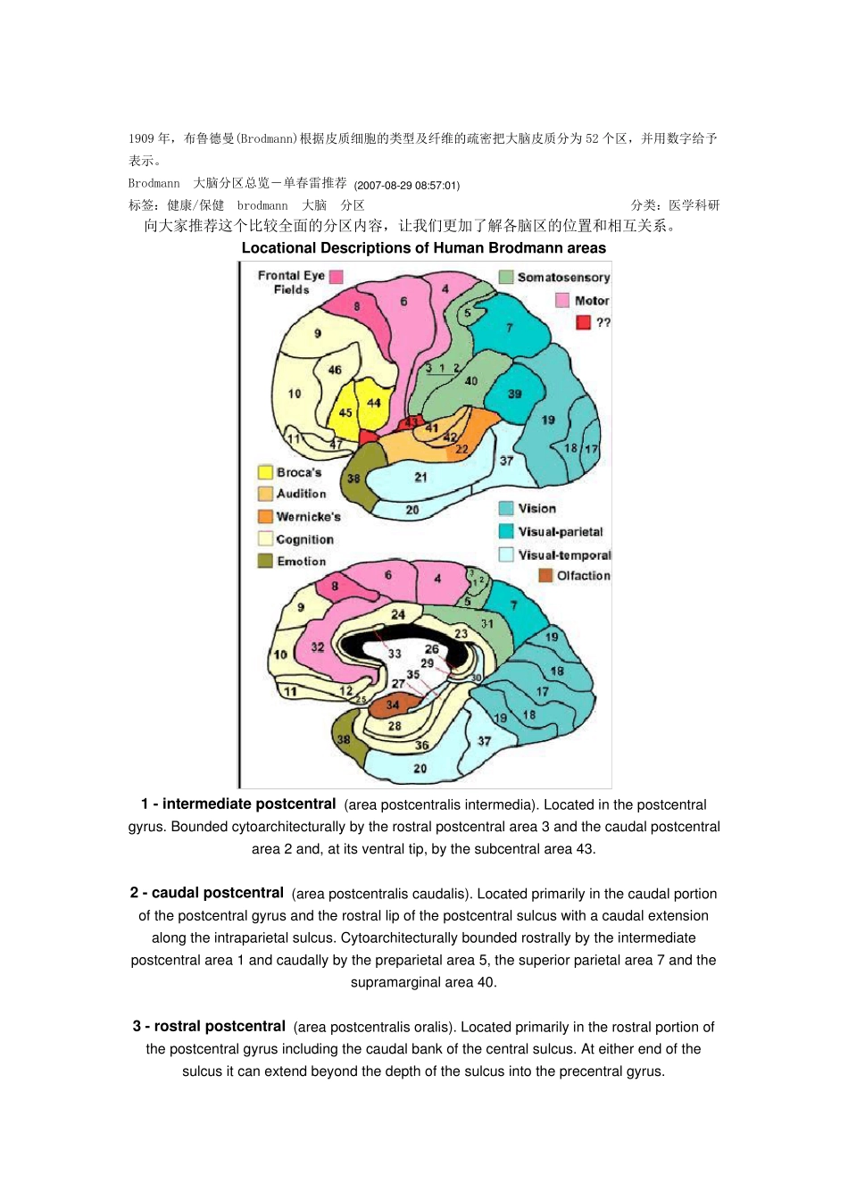 Brodmann+大脑分区总览_第1页