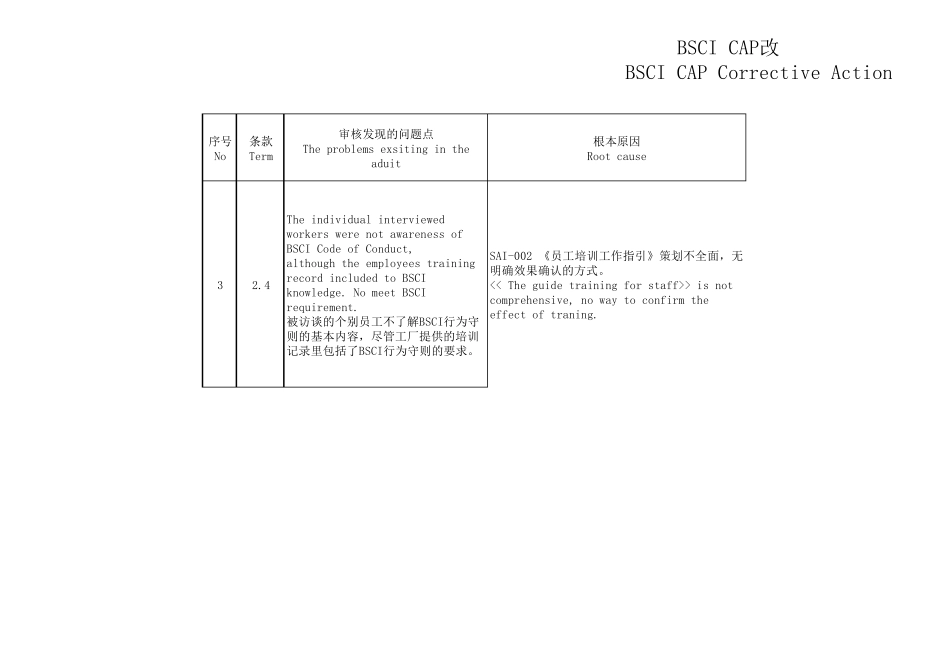 BSCICAP改善报告_20170213_第3页