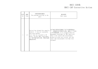 BSCICAP改善报告_20170213