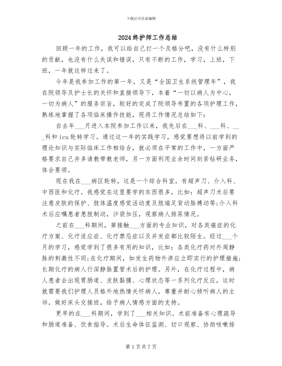 2024终护师工作总结_第1页