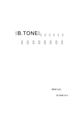 BTONE品牌VI设计方案及报价