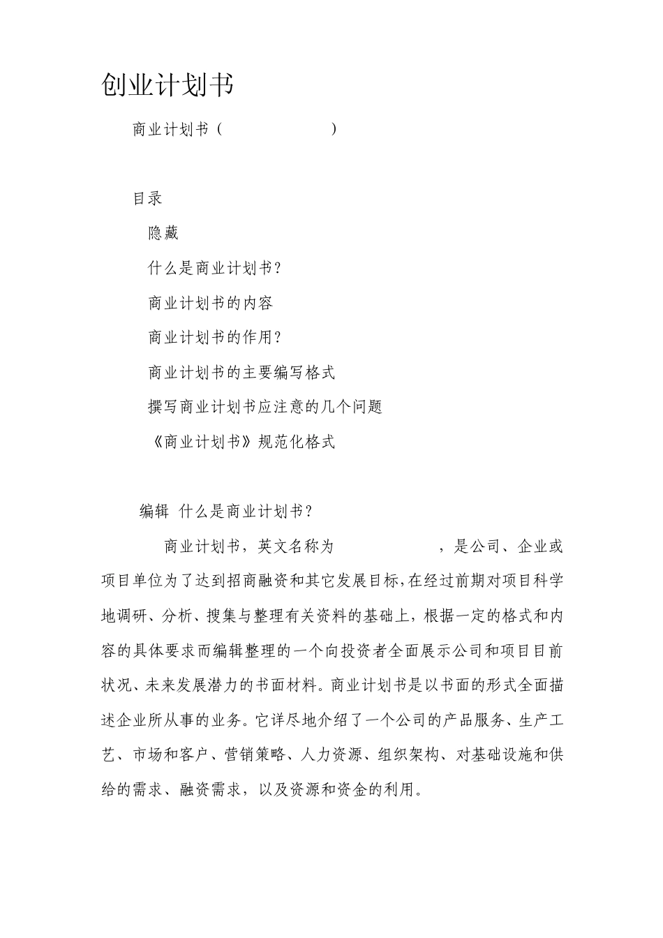 BusinessPlan_第1页