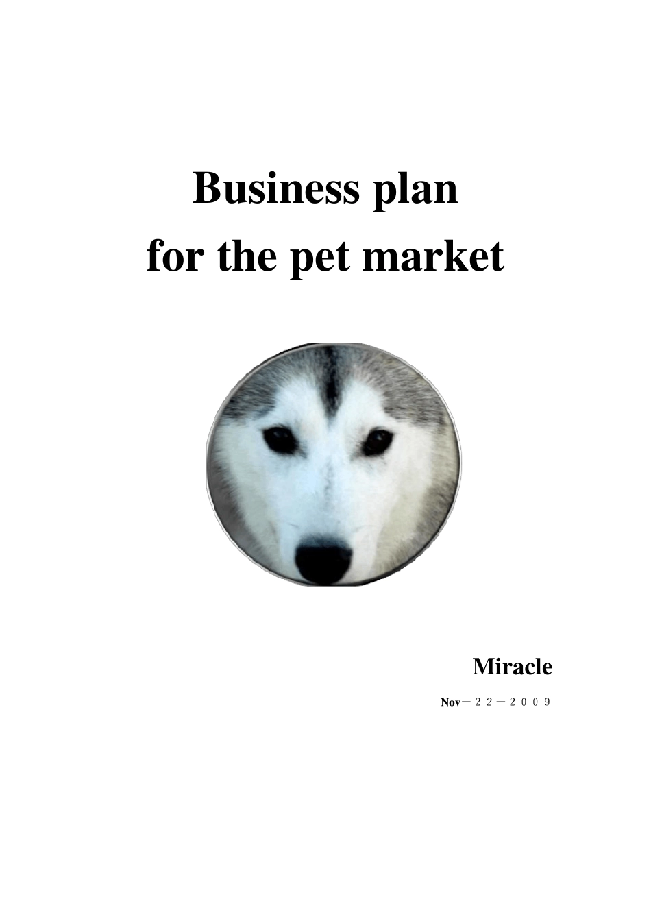 Businessplan英文版商业计划书_第1页