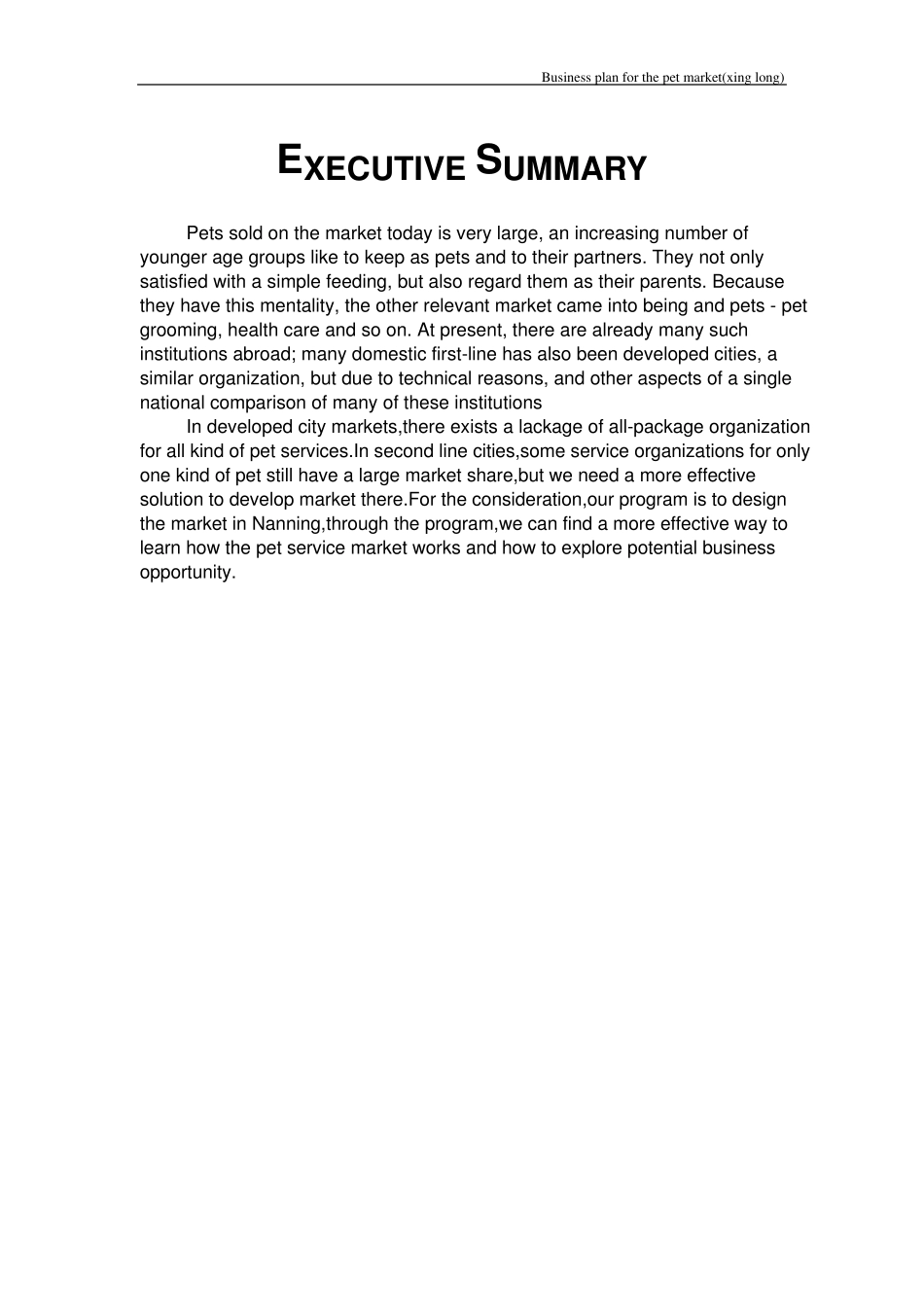 Businessplan英文版商业计划书_第2页