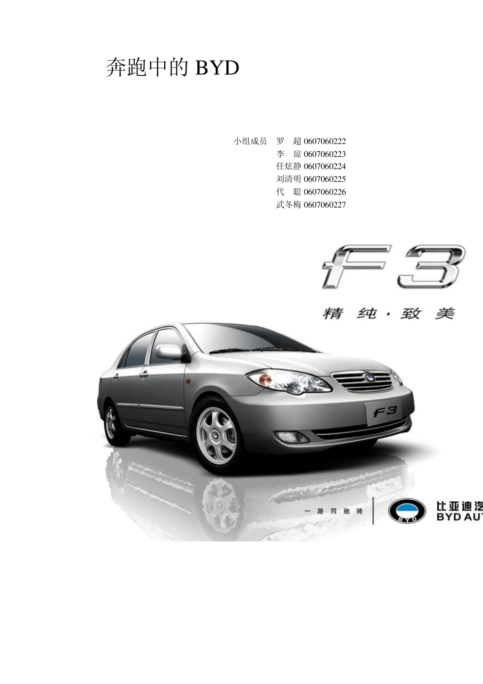 BYD案例分析_第1页
