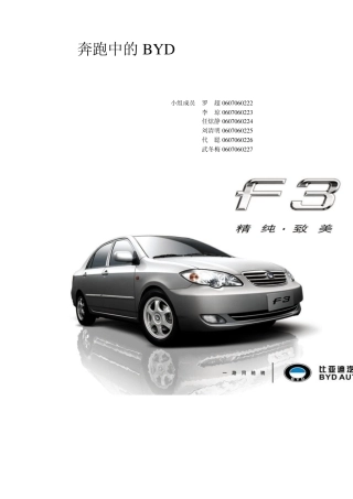 BYD案例分析