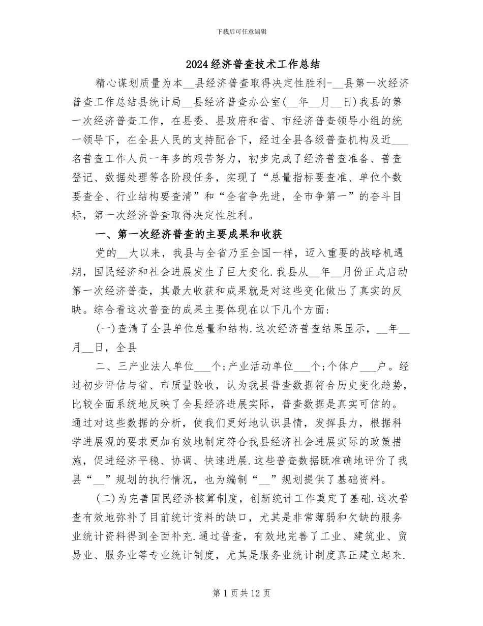 2024经济普查技术工作总结_第1页