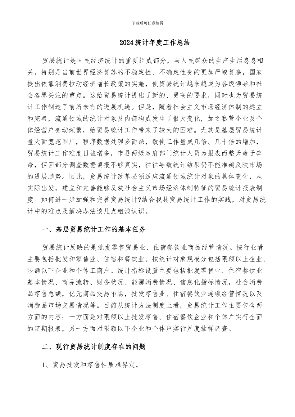 2024统计年度工作总结_第1页