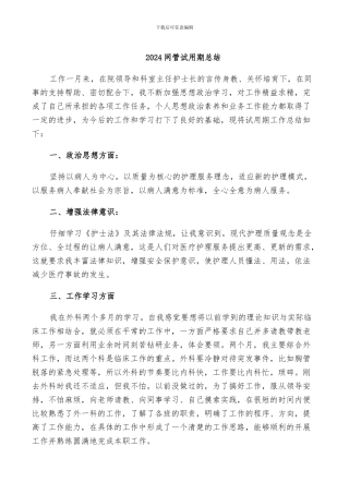 2024网管试用期总结