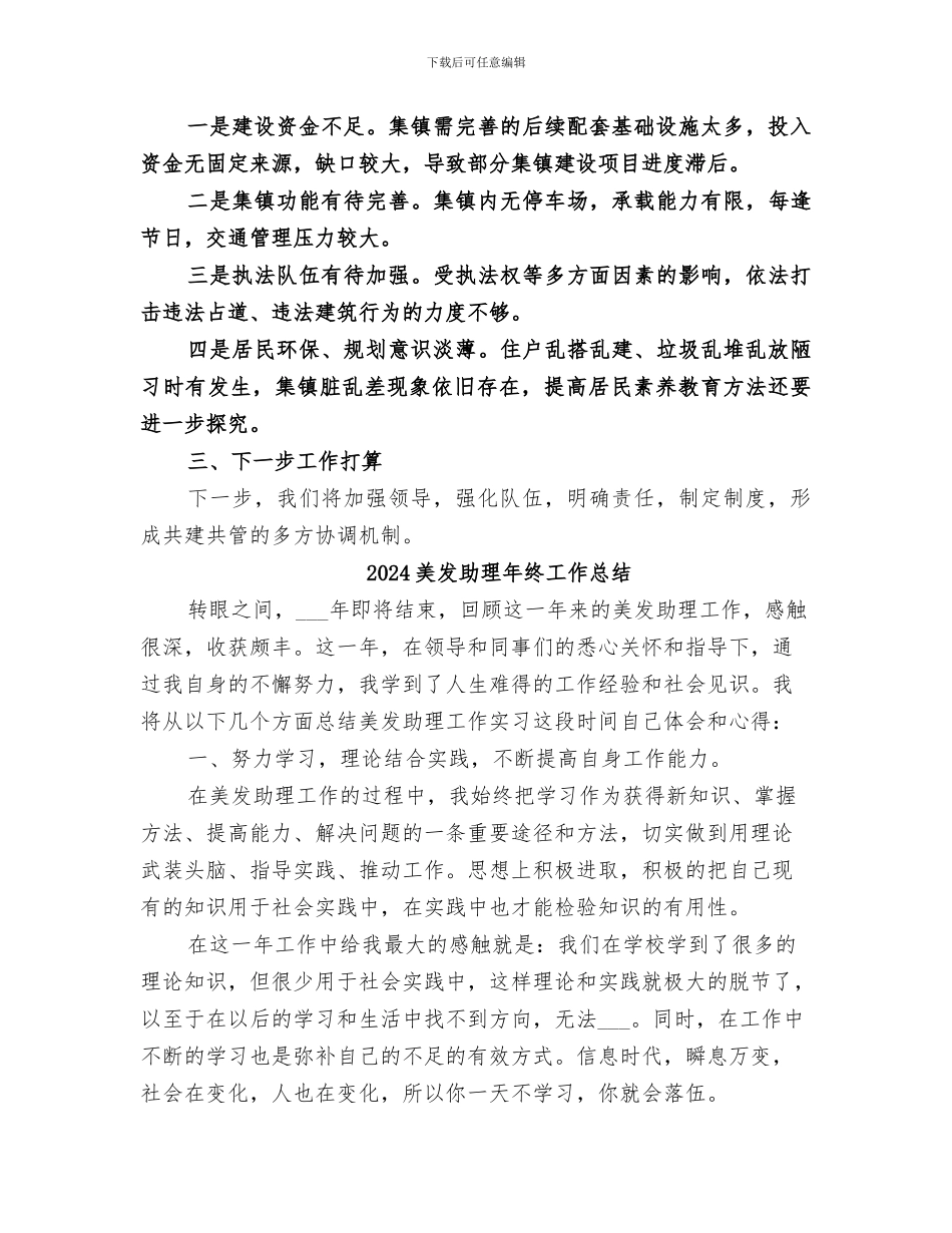 2024美丽集镇建设工作总结_第2页
