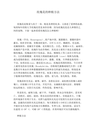 玫瑰花的种植方法