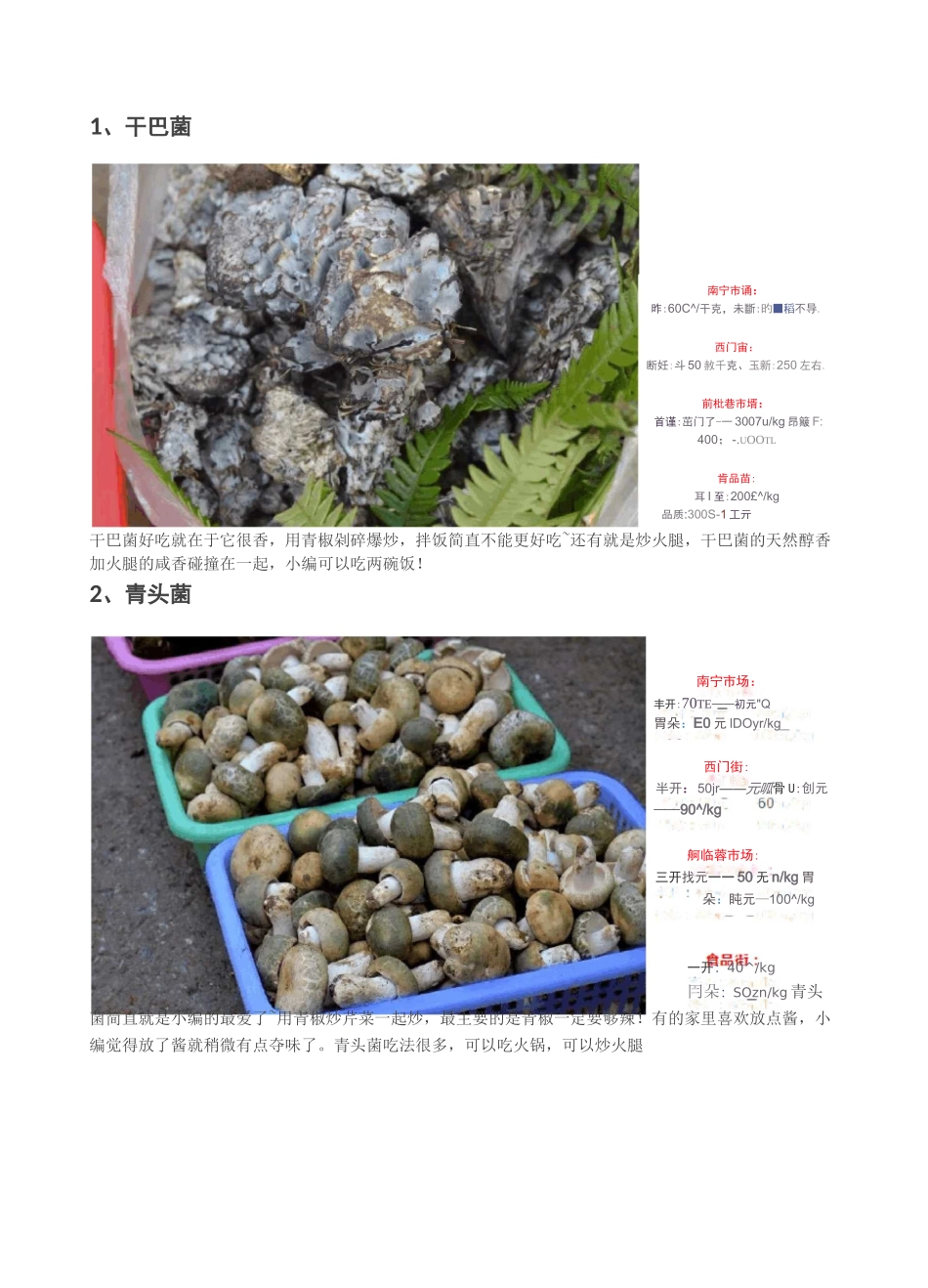 云南野生菌图片、做法、价格、采摘区域大全_第1页