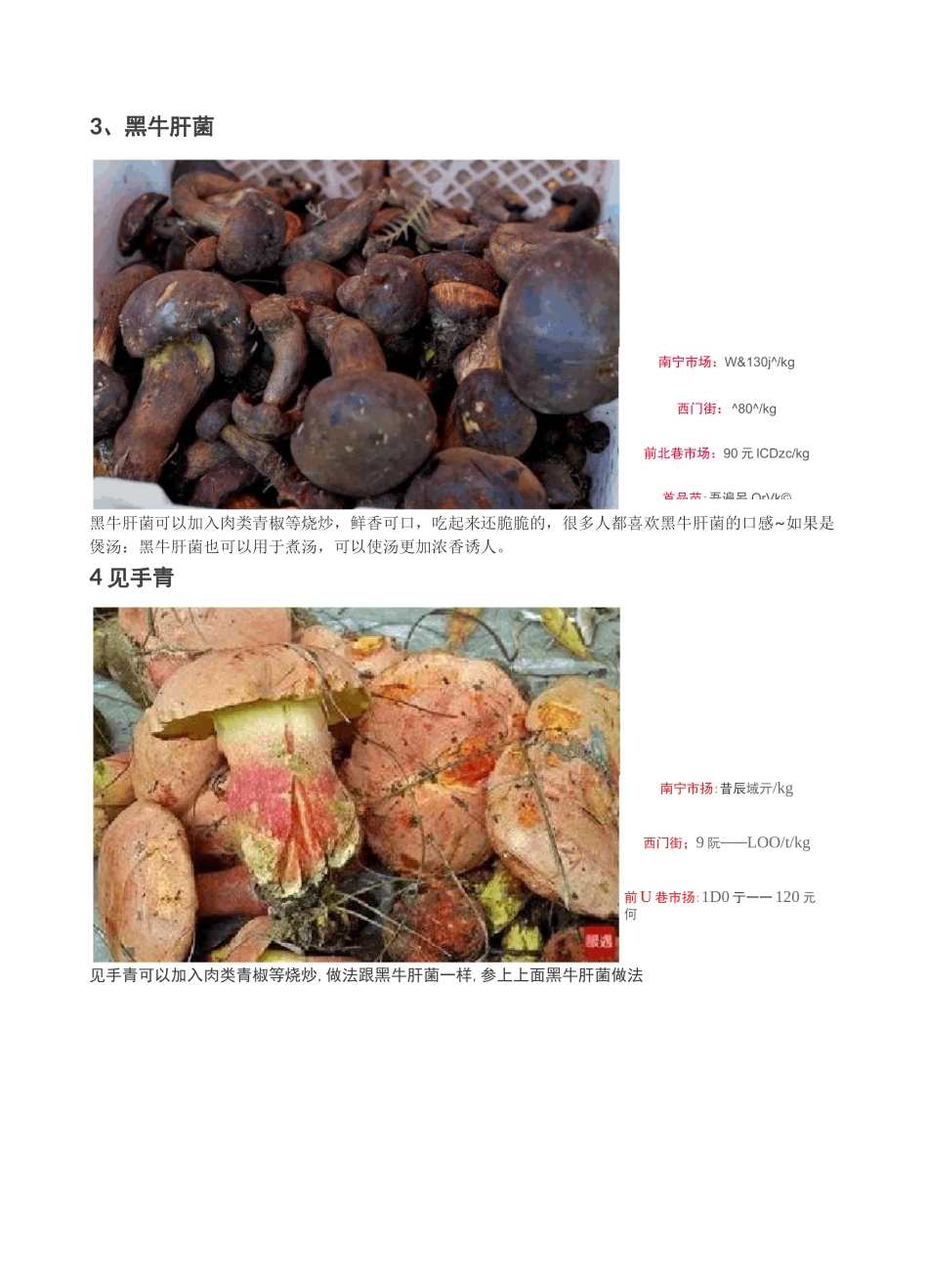 云南野生菌图片、做法、价格、采摘区域大全_第2页