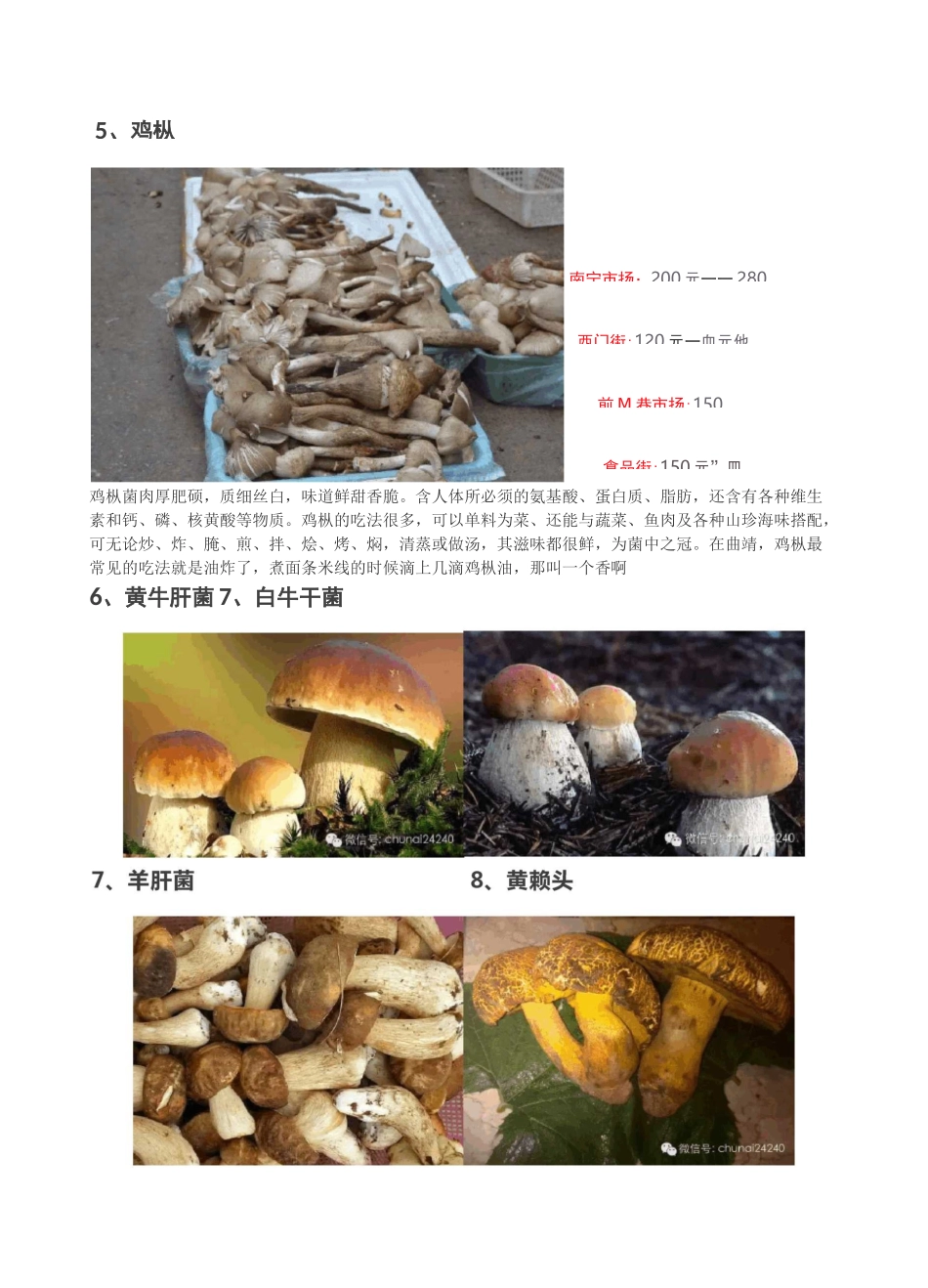 云南野生菌图片、做法、价格、采摘区域大全_第3页