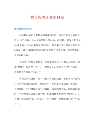 描写狗的说明文14篇