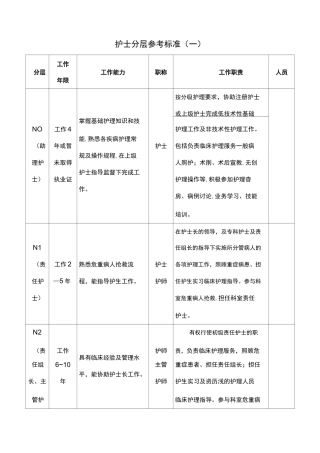护士分层参考标准
